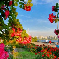 原聲 - 북촌369🎋🎶