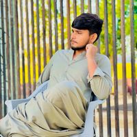 shahzad.ali.8