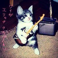 original sound