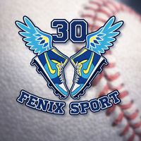 fenixsport30