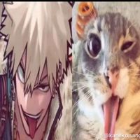 bakugoukatsuki288