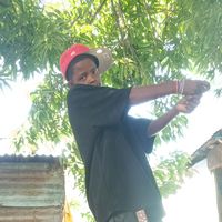 lizanderking