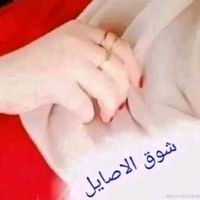.shwqlsyl3