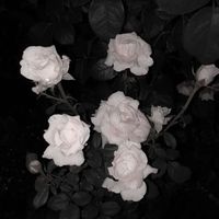 nachaxx.__7