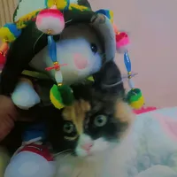 original sound - robertpalli7