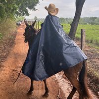 pedronetobraga