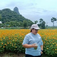 เสียงต้นฉบับ - Pipear