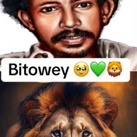 bitowking1