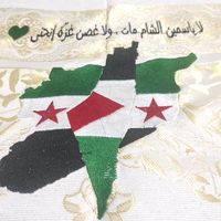 ahmadabdullah2270