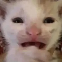 original sound - ahmeng710