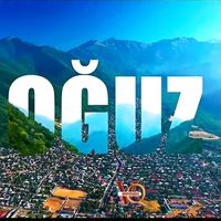 dizayn.video.post