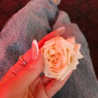 nifteliyeva_17