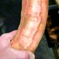 sempaak..fir..un