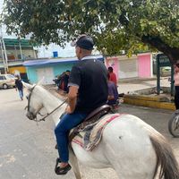 sonido original