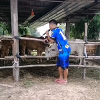 เสียงต้นฉบับ - ไทสีเกดมักหมอลํา🎵🎶🎤