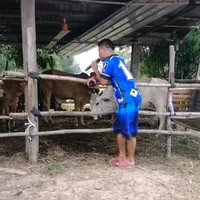 original sound - pacharachaisangph3