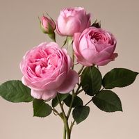 ____________checkmate111