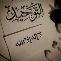 alitarki8