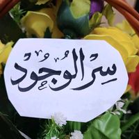 shajn20026