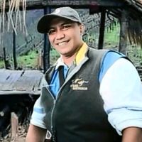 suara asli - muhamadarifin6856. arifin