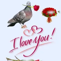 original sound - pradeepkumar52697