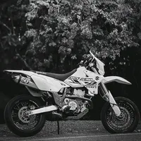 original sound - rose_400sm