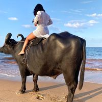 jhenniferoliveira567