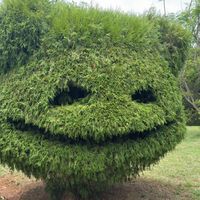 오리지널 사운드 - 소드마스터 척준경