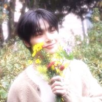 shiro.skz.8