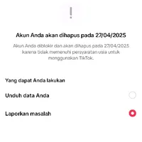 original sound - zain_template1