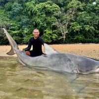 original sound - hoale999098