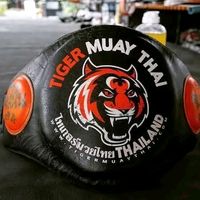 muaythai___tiger