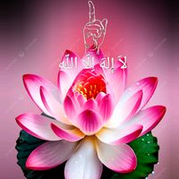 nur_ala_nur_shop