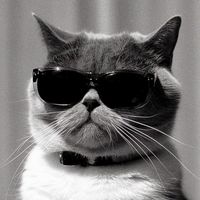 katthi.kk