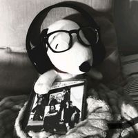 fans_parra