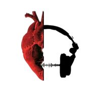 musicolog01