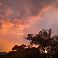 original sound - SHAARK