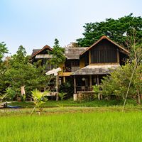 เสียงต้นฉบับ - ฮังนกฮูกบ้านนา