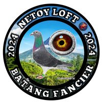 netoy_loft_1