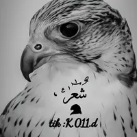 original sound - k.011.d