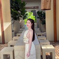 baifern_nng