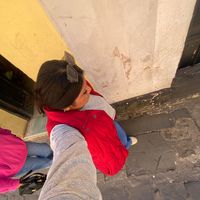 mely19011