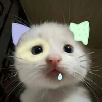 haruspy7