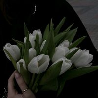 _hyun043