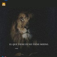 stiven237490