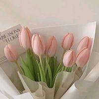 meher_902