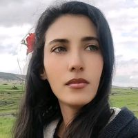 marwa.mahwechi