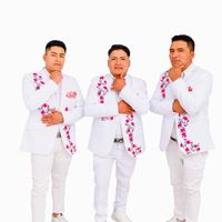 orqsuperelegantesdecaraz