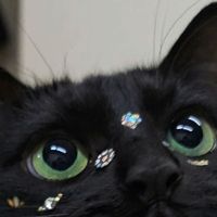 _pinklotus__