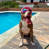 original sound - tyralapit_